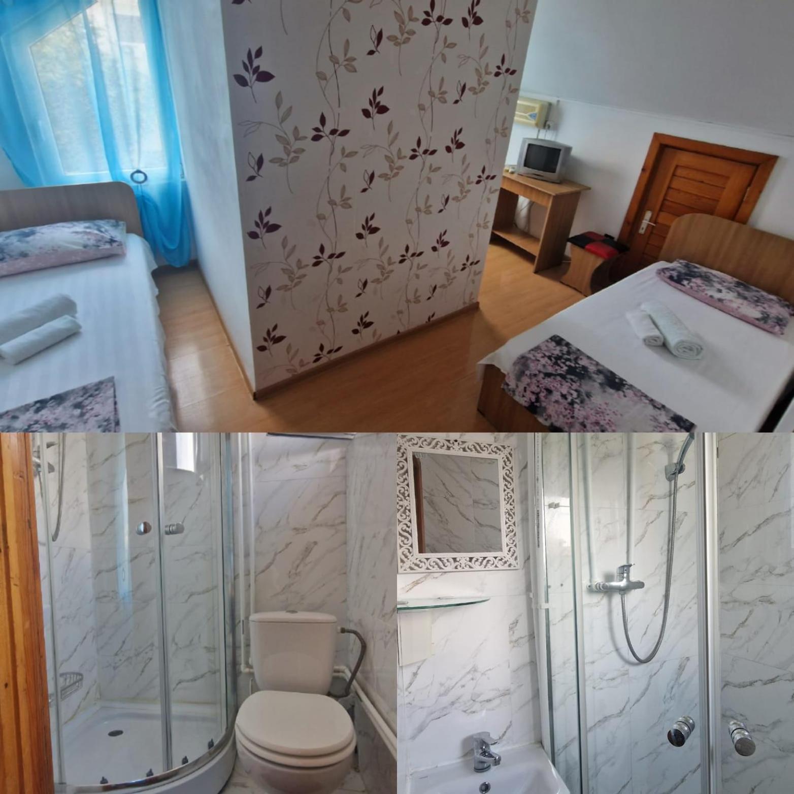מלון אפורי נורד Vila Cozia מראה חיצוני תמונה